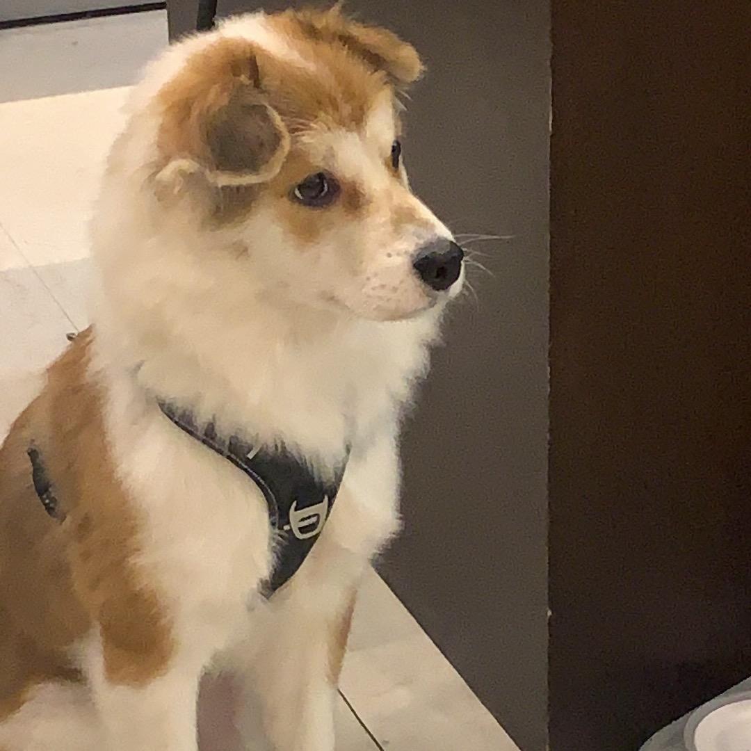 _随便看看