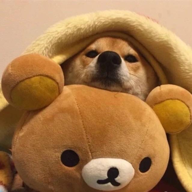玉子烧