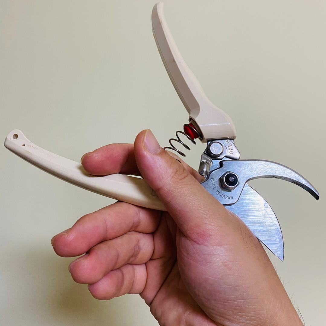 超人de阳台盆景笔记📒