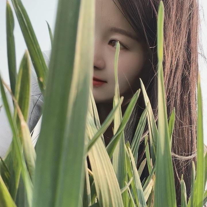 慕雪.流年