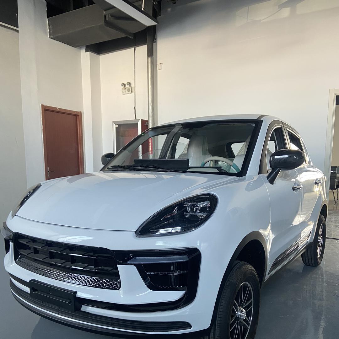 赛力新能源电车