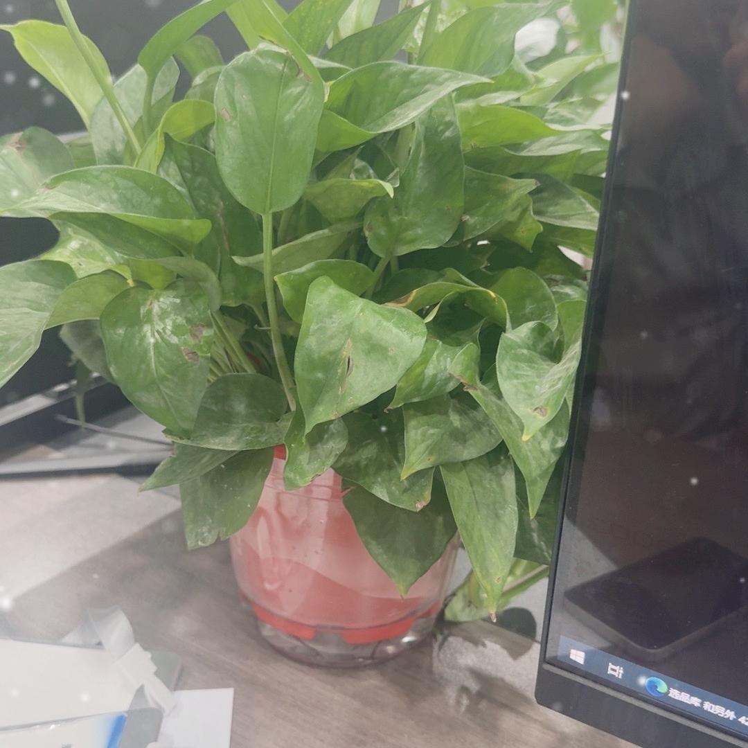 陕西志远林星建筑拆除有限公司