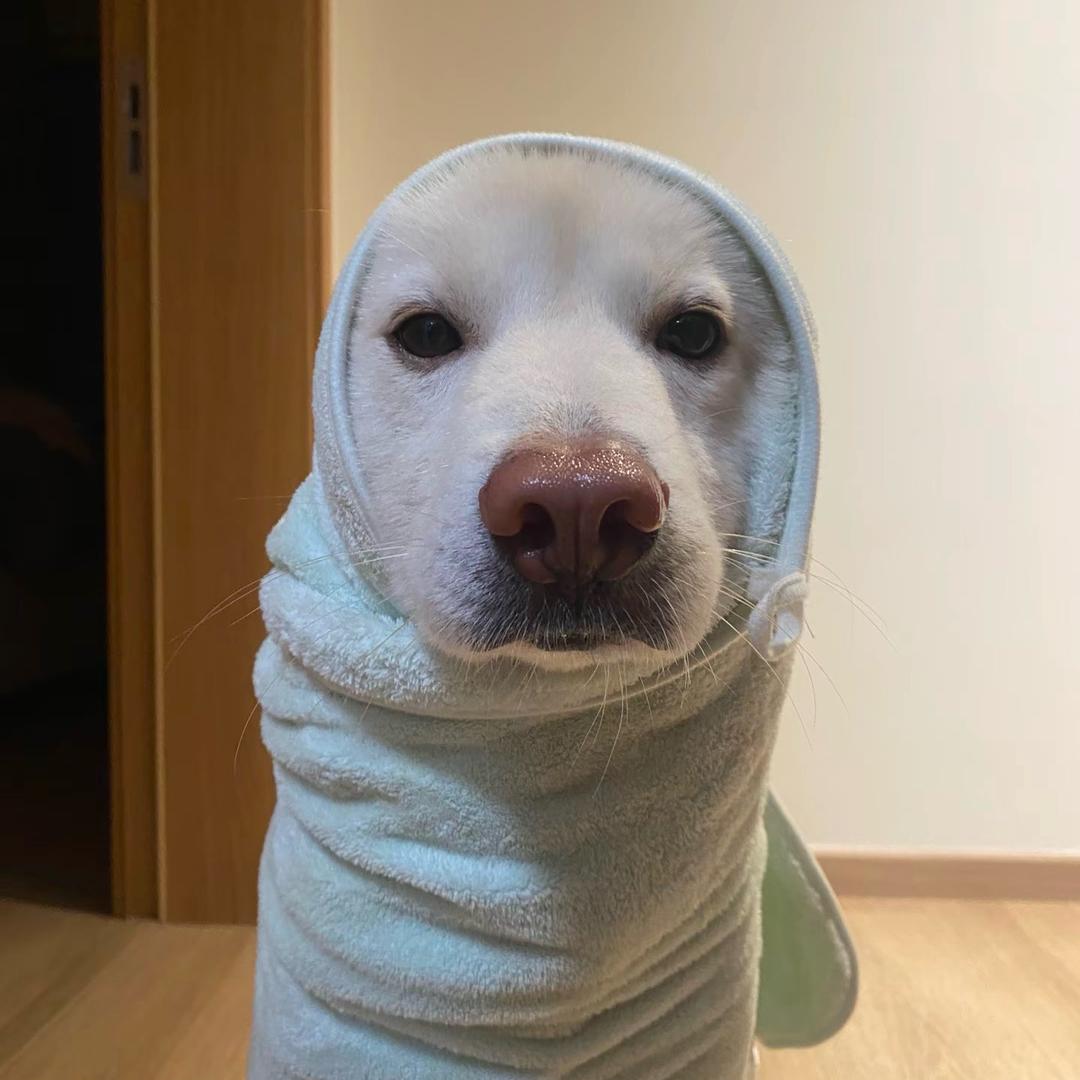 爱玩点帅的