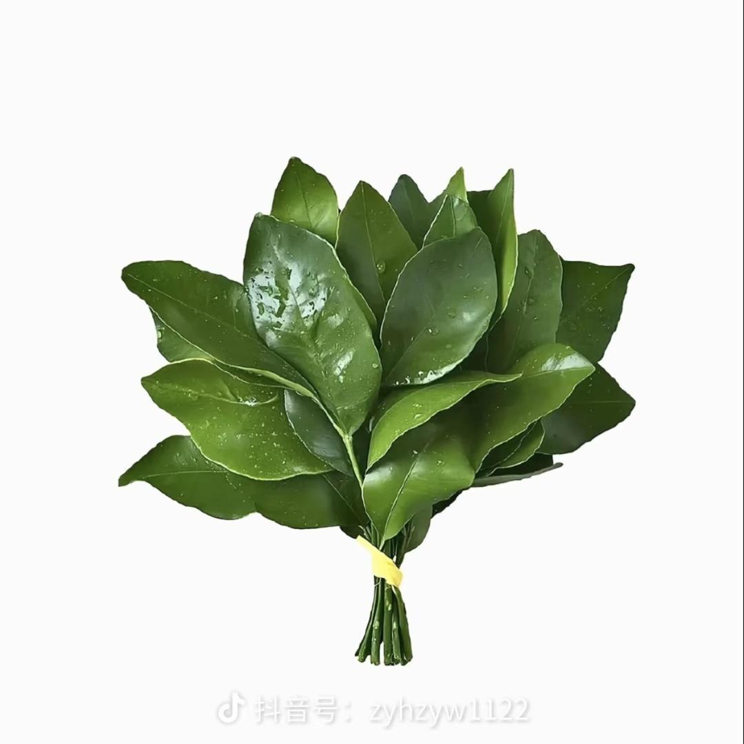 🙇🏻：脑袋困掉了哦