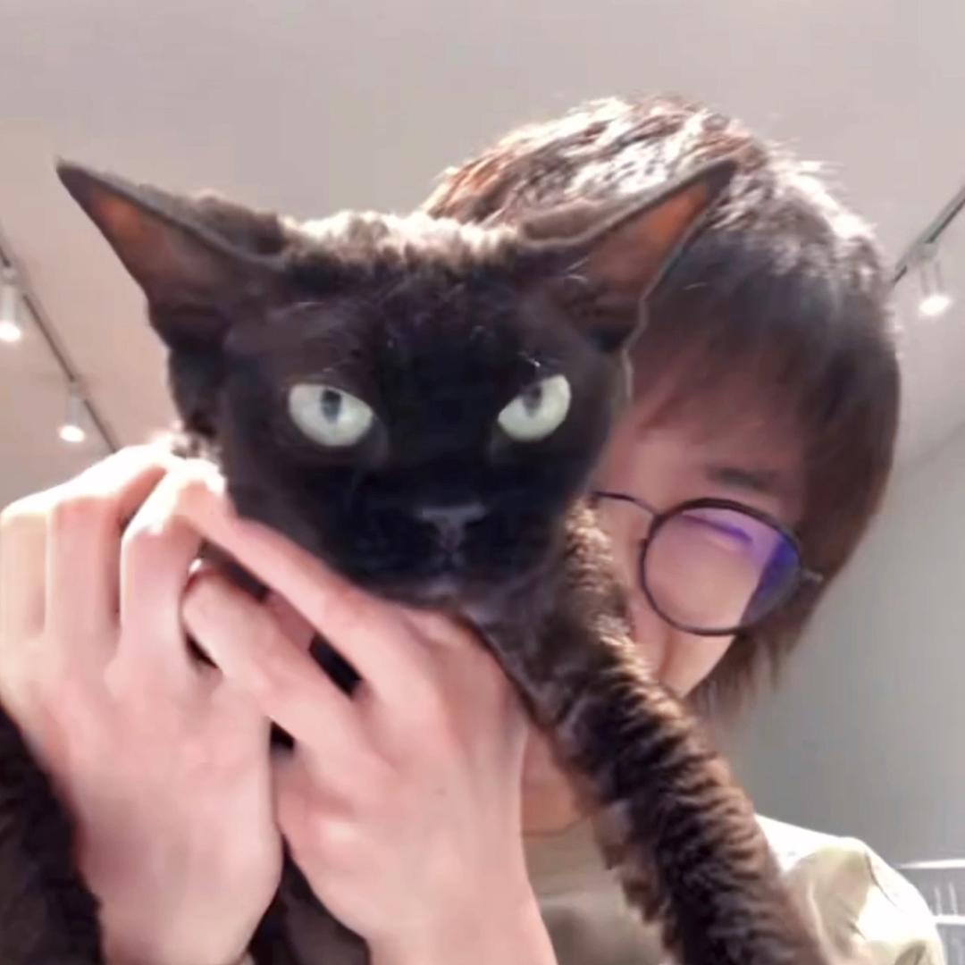 急急花小绒
