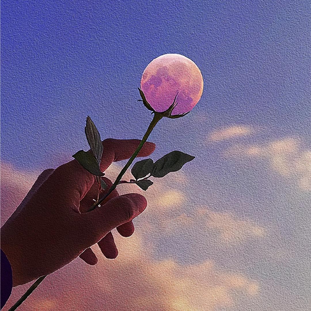 姓：白 、名：黎、字：浮云☁️