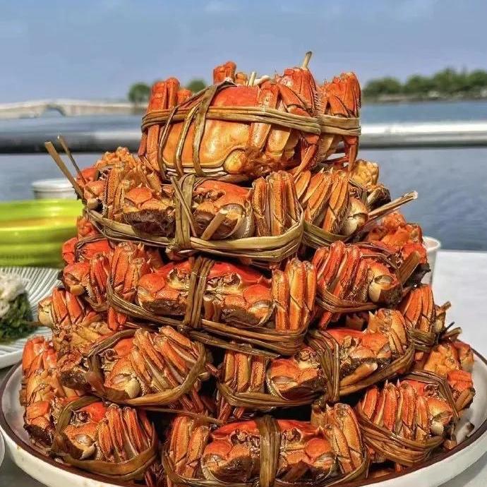 启航生鲜大闸蟹