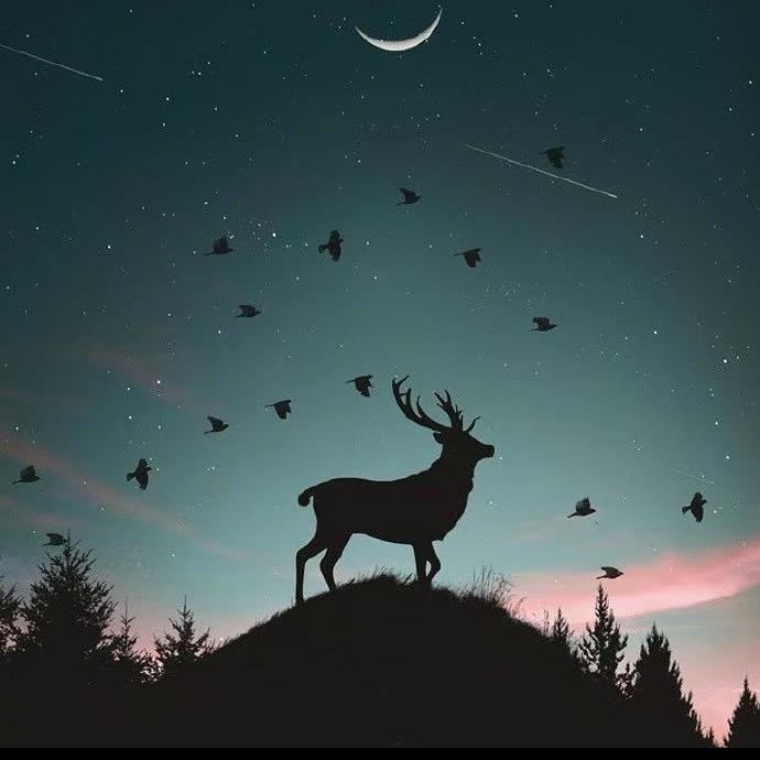 一个人的生活真的很好