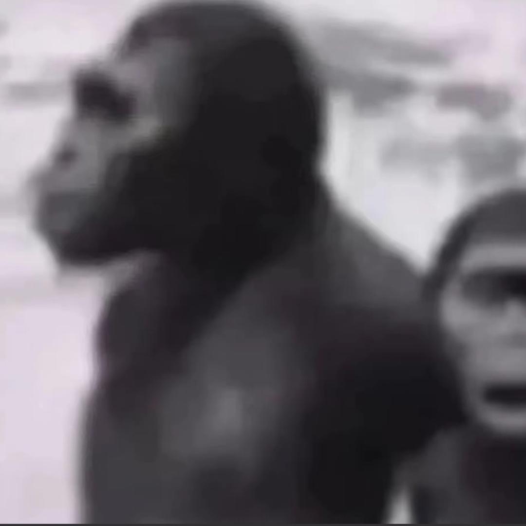 C位QQ