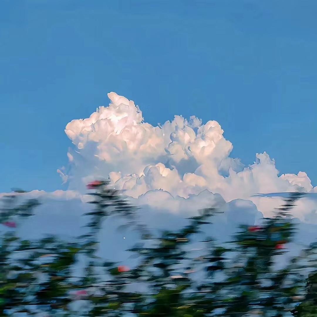 芸慧百货