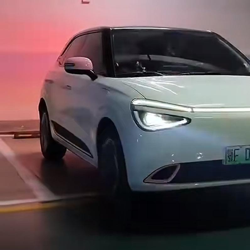 ~花无缺(现货号)