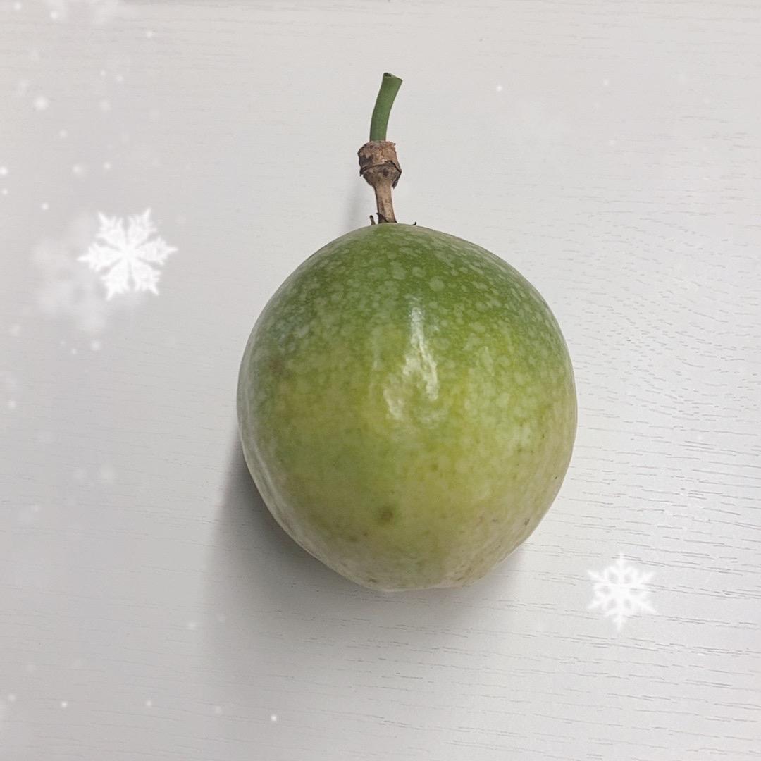 一颗果