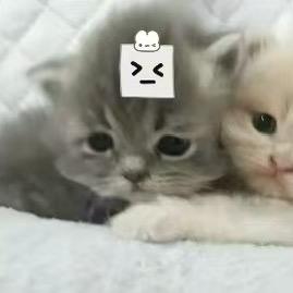 什么都玩的小菜