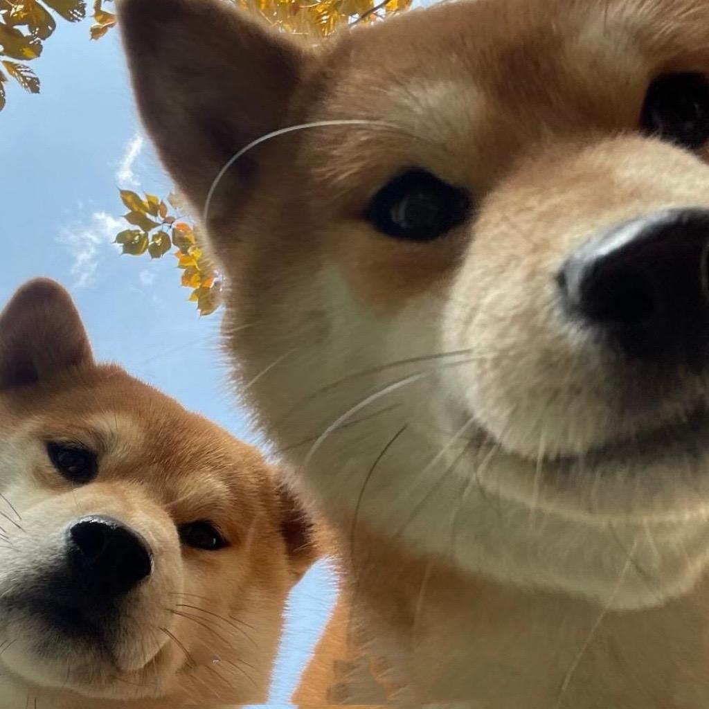 @໑ຼₒ₂₂❆꫁冯书书