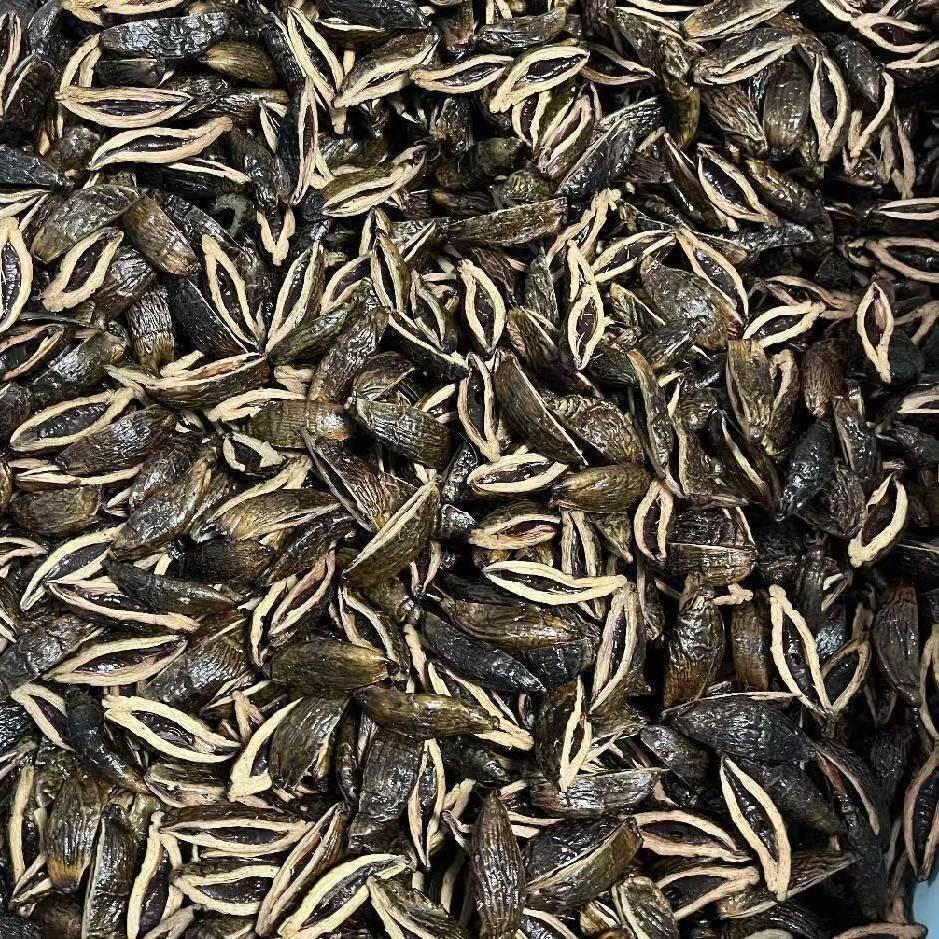 重生之我在三原卖槟榔！