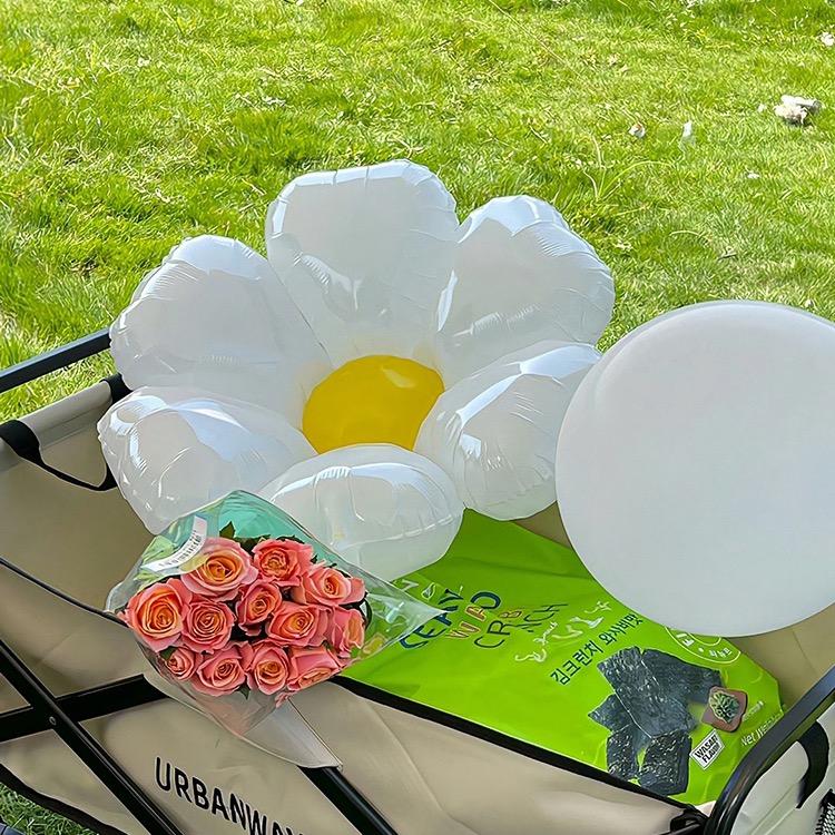 向日葵好物分享