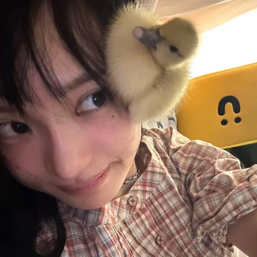 歪歪