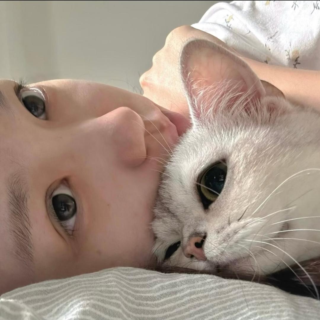 泪愿.