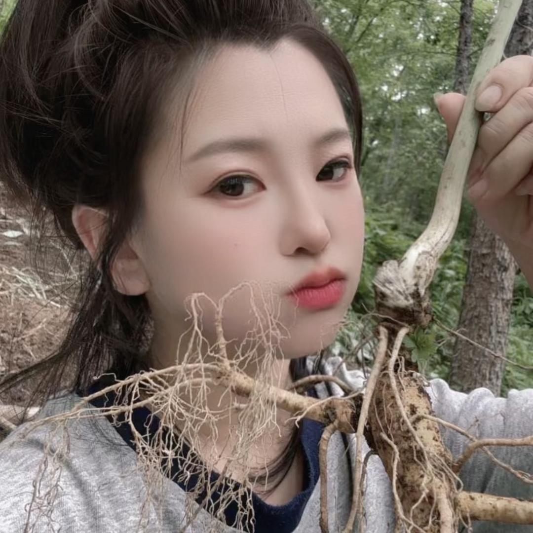 金垚东北特产
