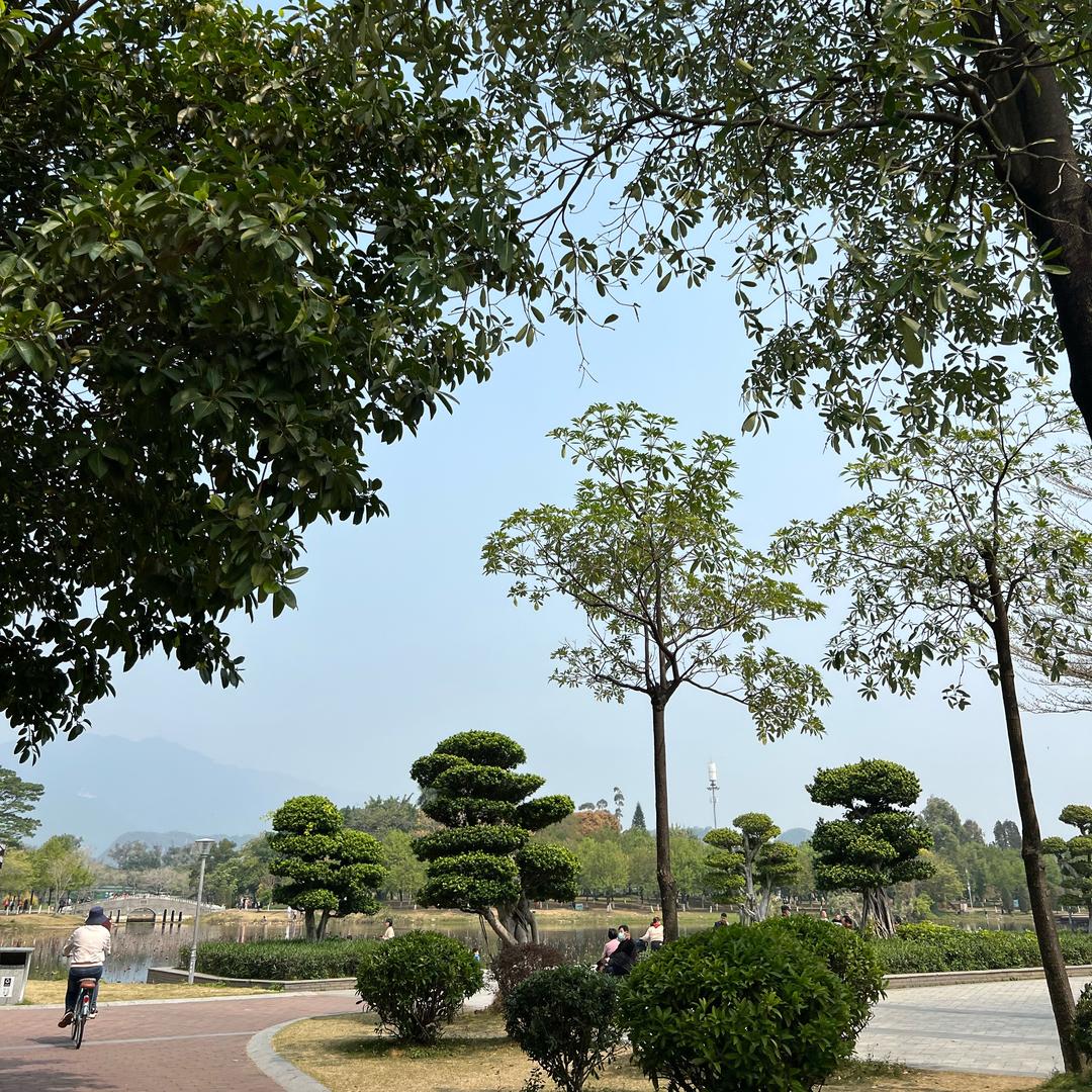 旧厂街最后的深情