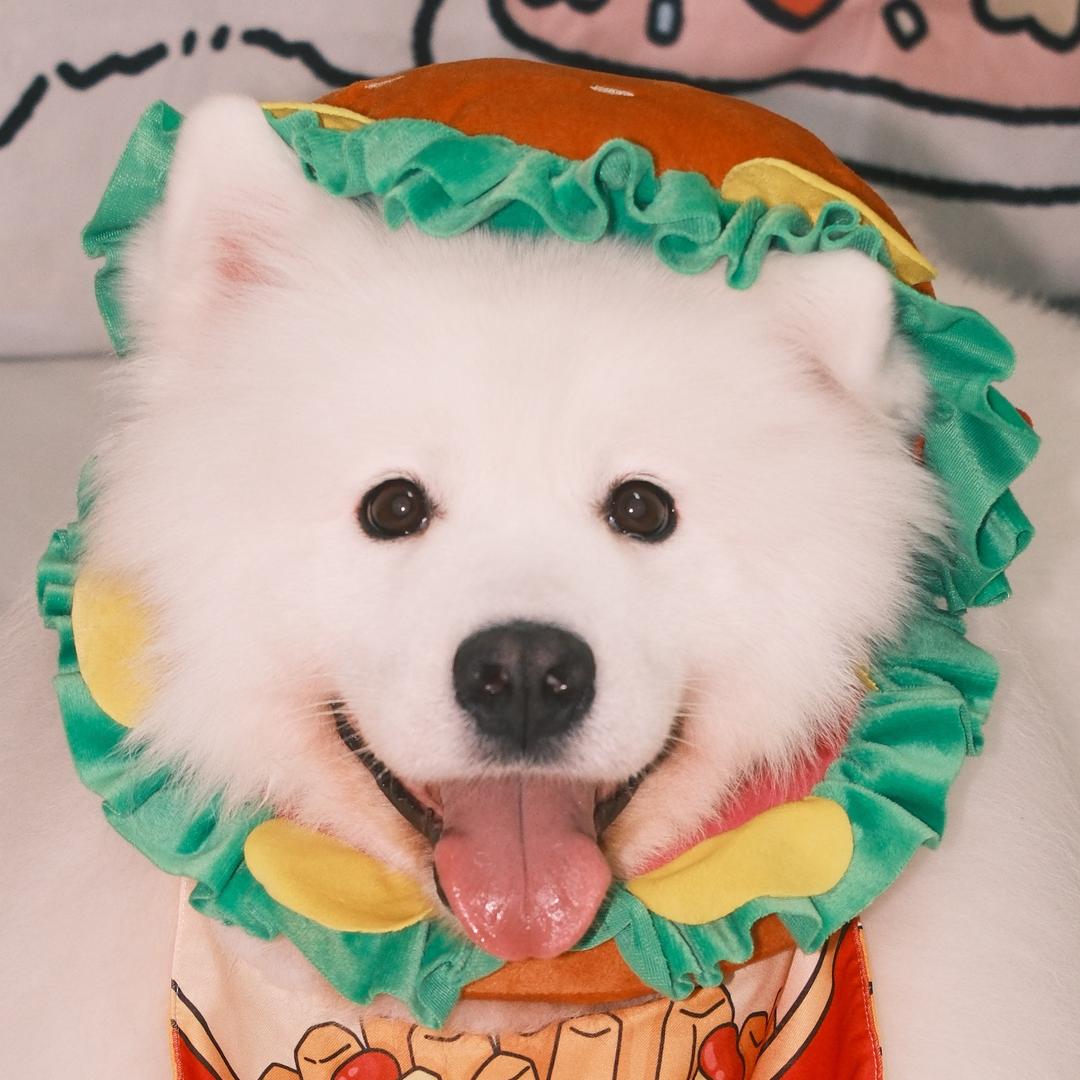 杨一乖