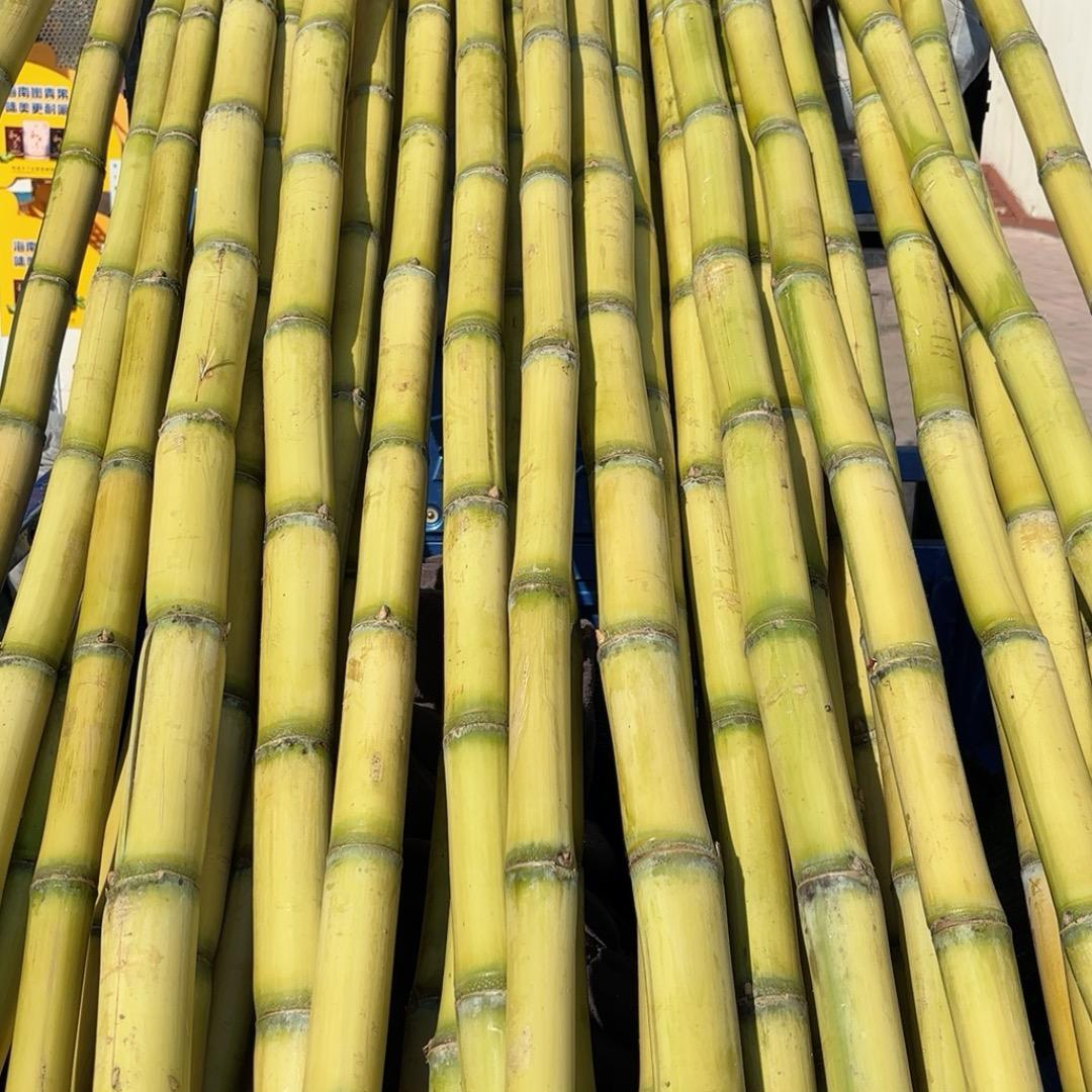 90后创业小青年