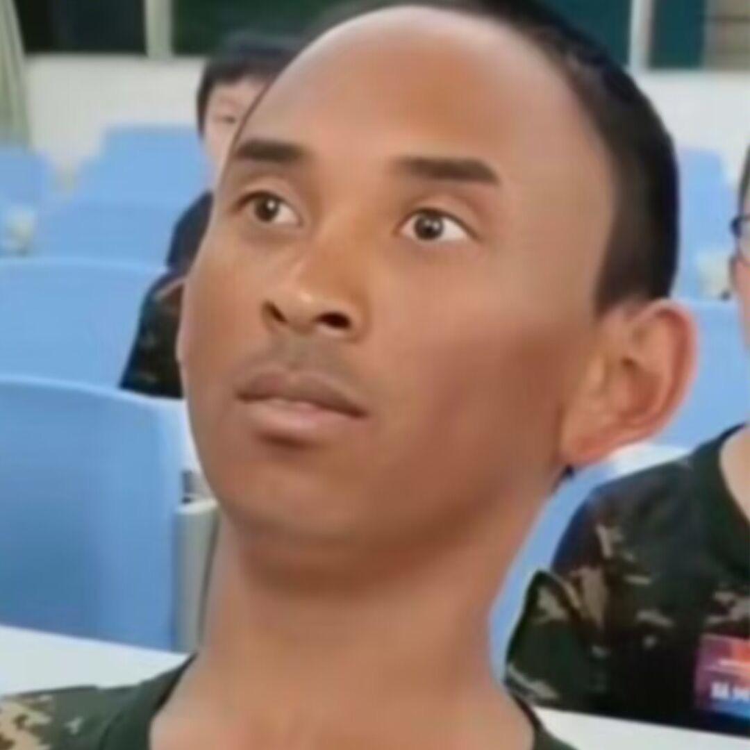 栖桐