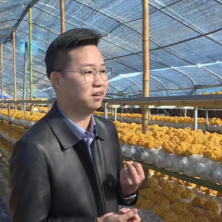天箐农业科技发展楚雄有限公司