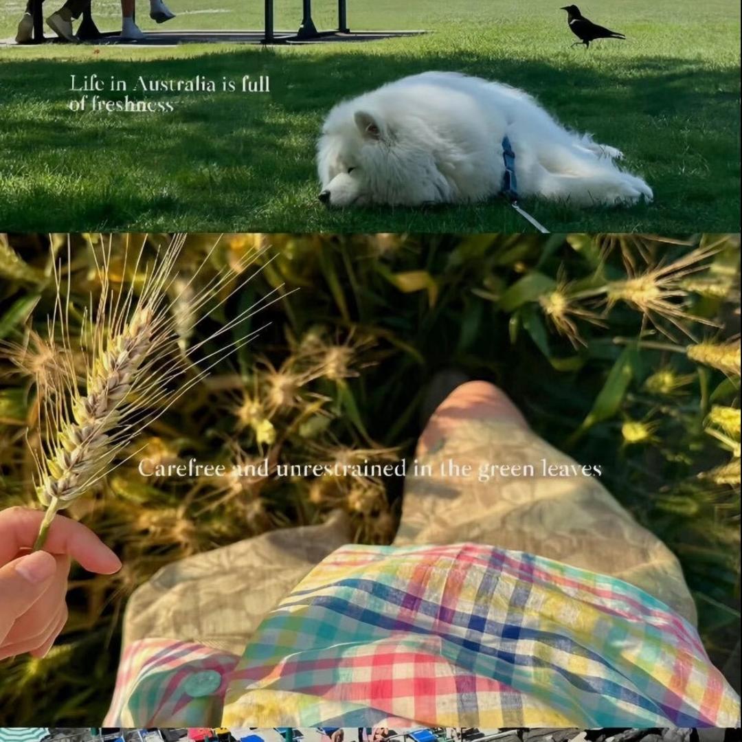 盼一场大雪⭐★