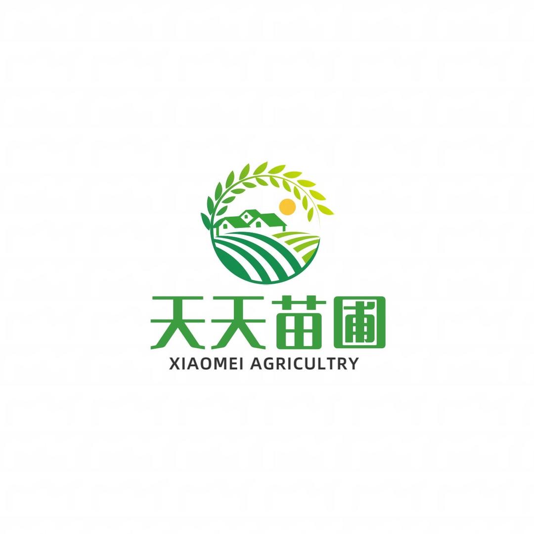 天天苗圃