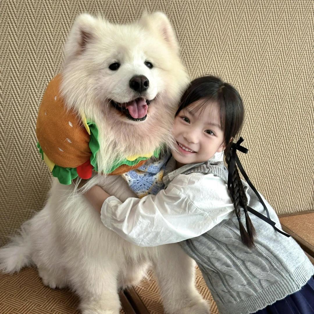小嬴爱⁷饭