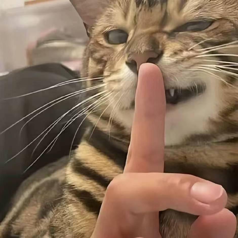 ❌