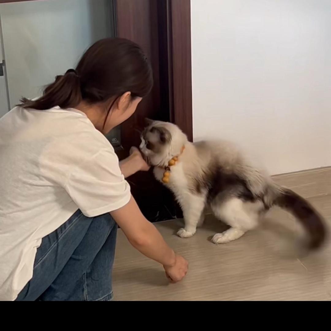 哈哈怪、