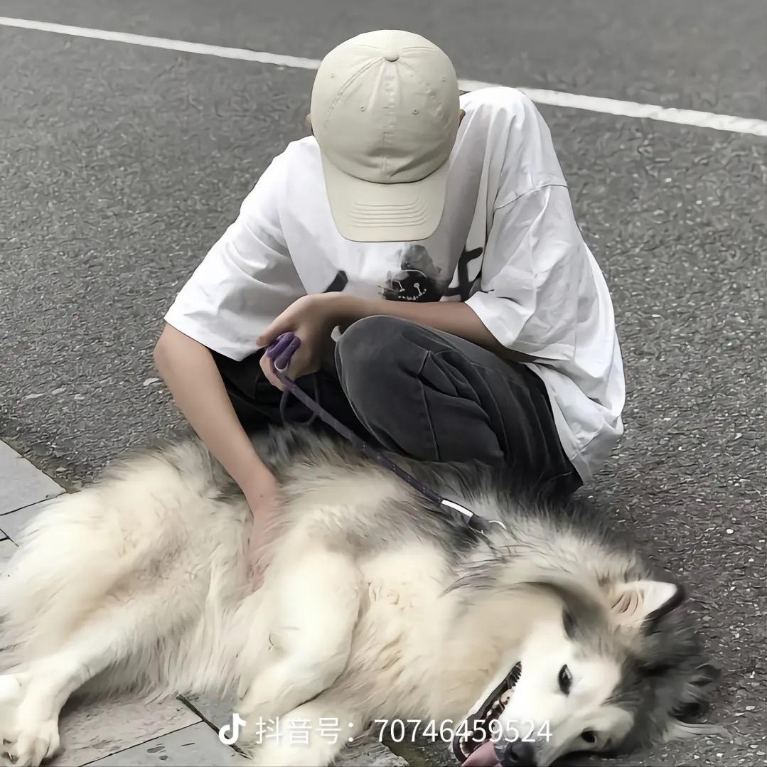 YLW