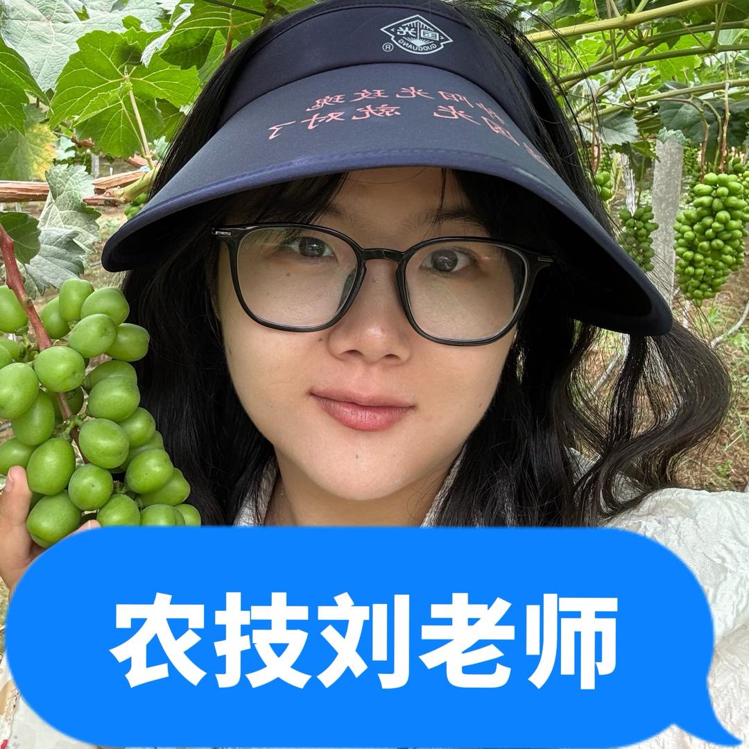 小玲聊调节剂