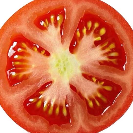 柿的 柿爱上了别人