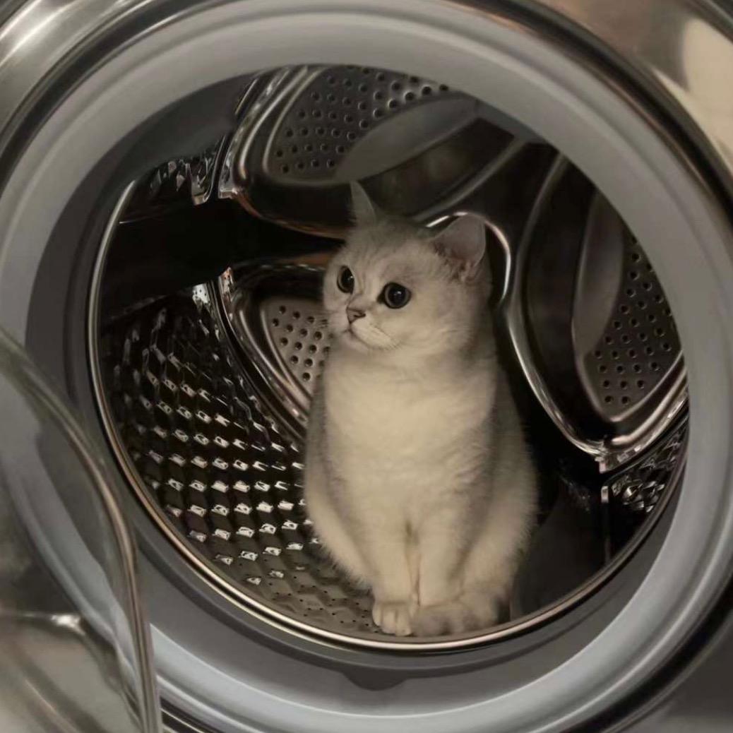 游戏分享(和平十六声)