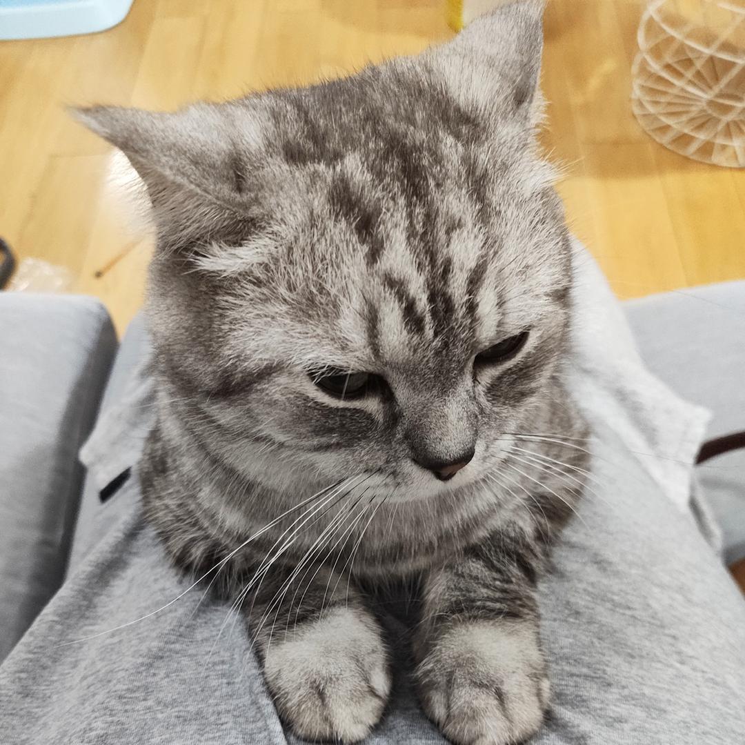 西瓜爷叔