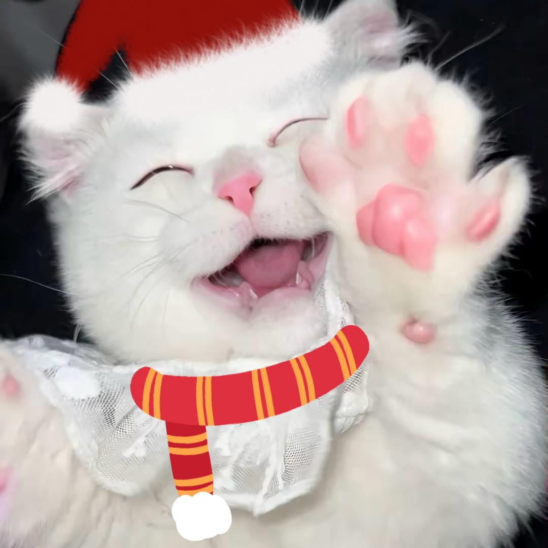 口口（12.12生日噜）