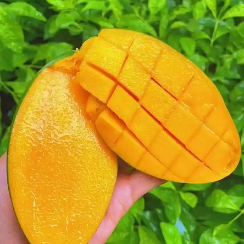 品诚果鲜坊2号