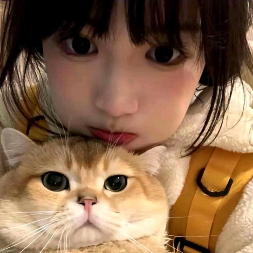 猴子派来的水军