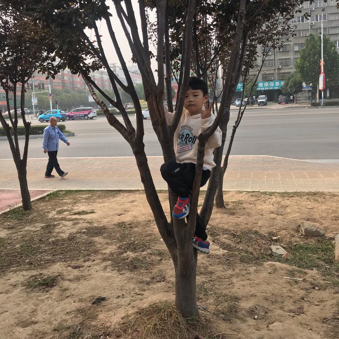 （秦）东哥