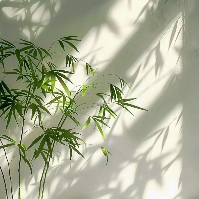 陆 陆