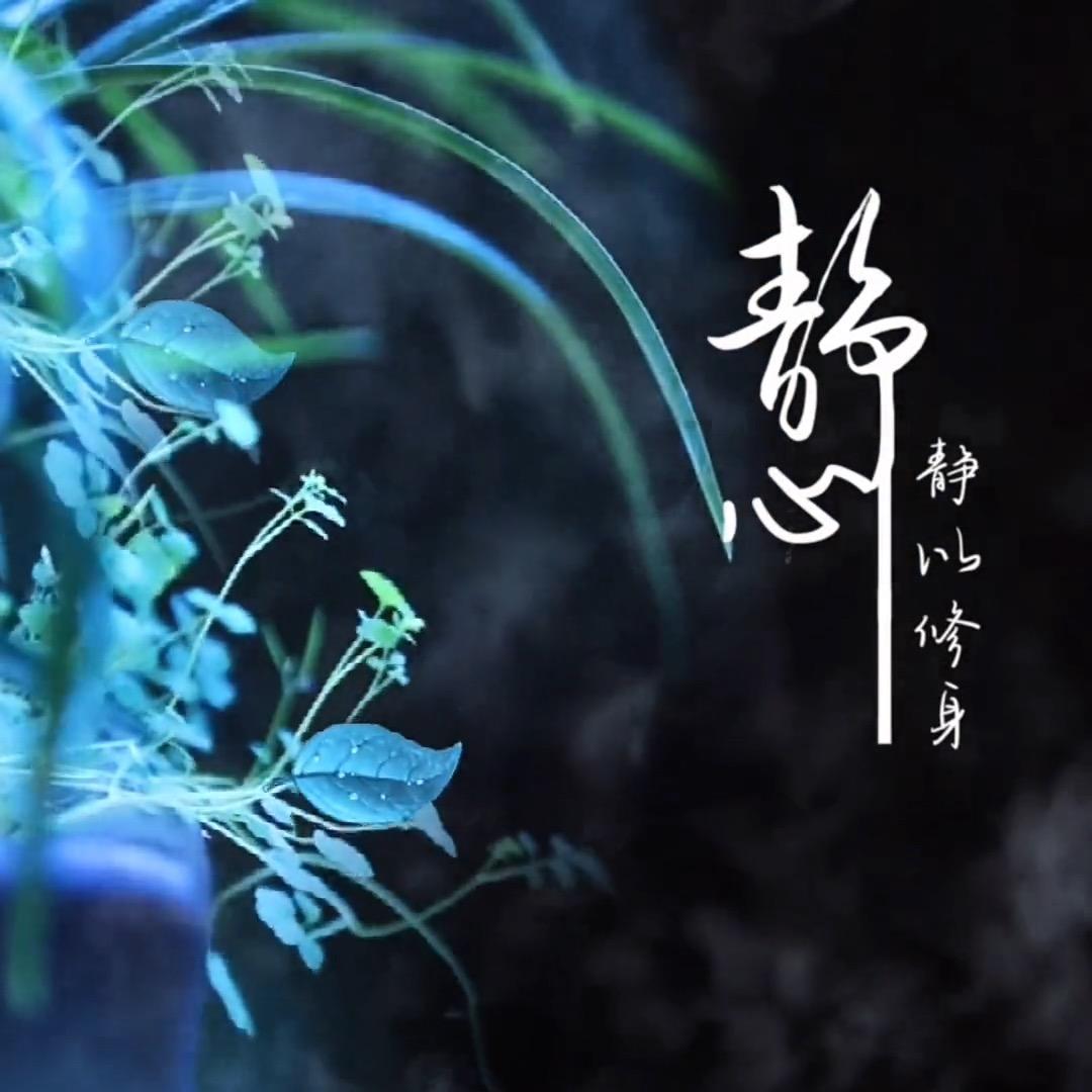 山水清音