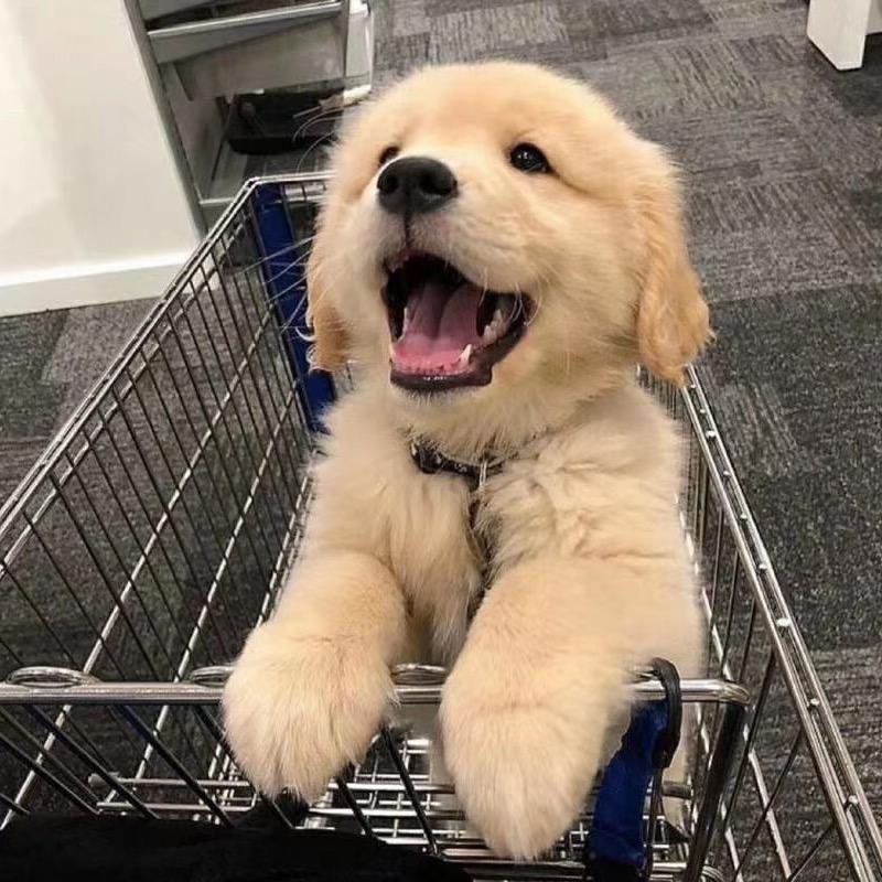 不太可口可乐🥤