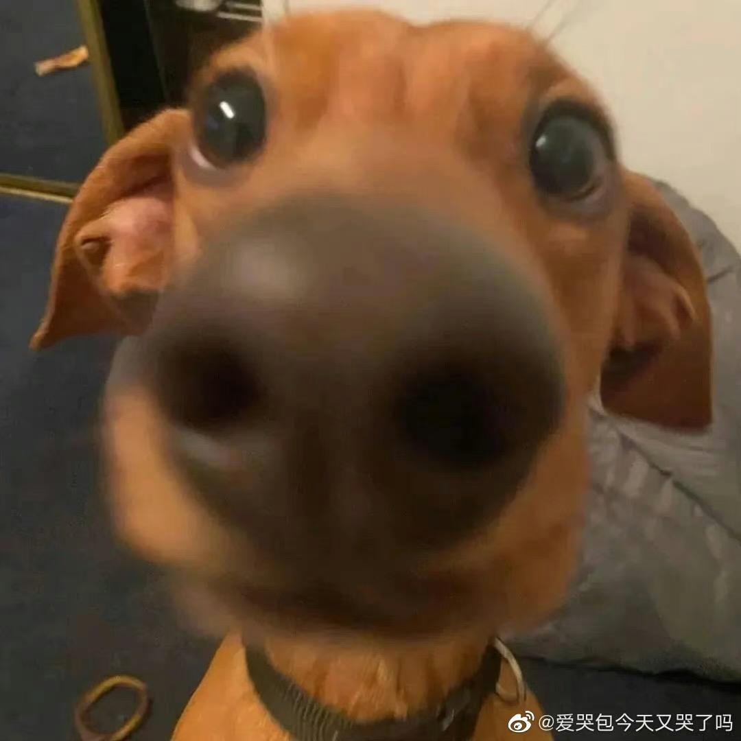 帅哥且猛男