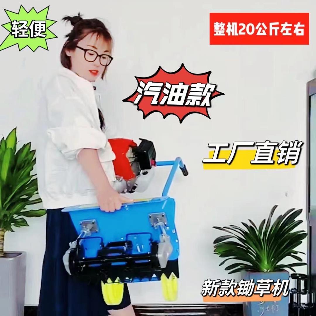 宗胜双杆除草机