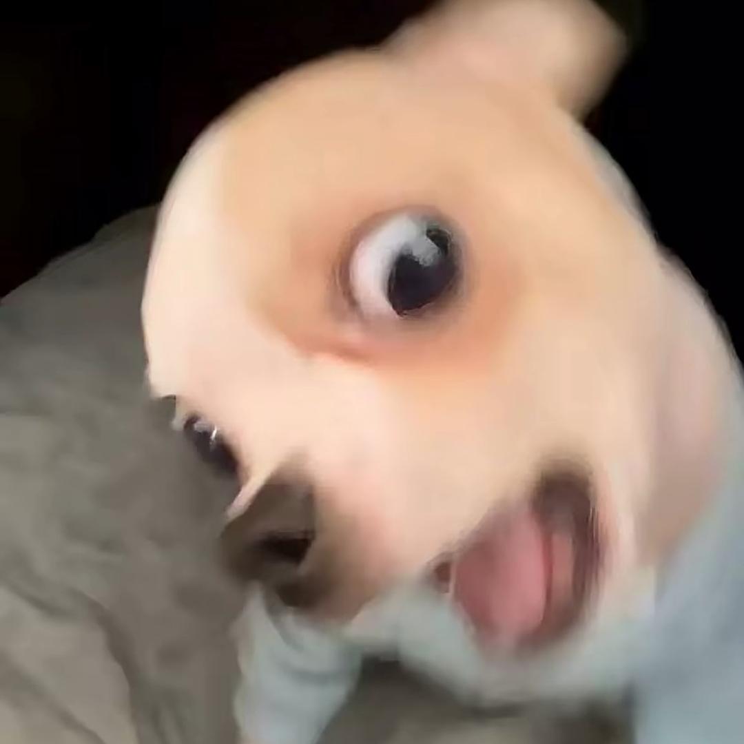 和傻呗无法交流