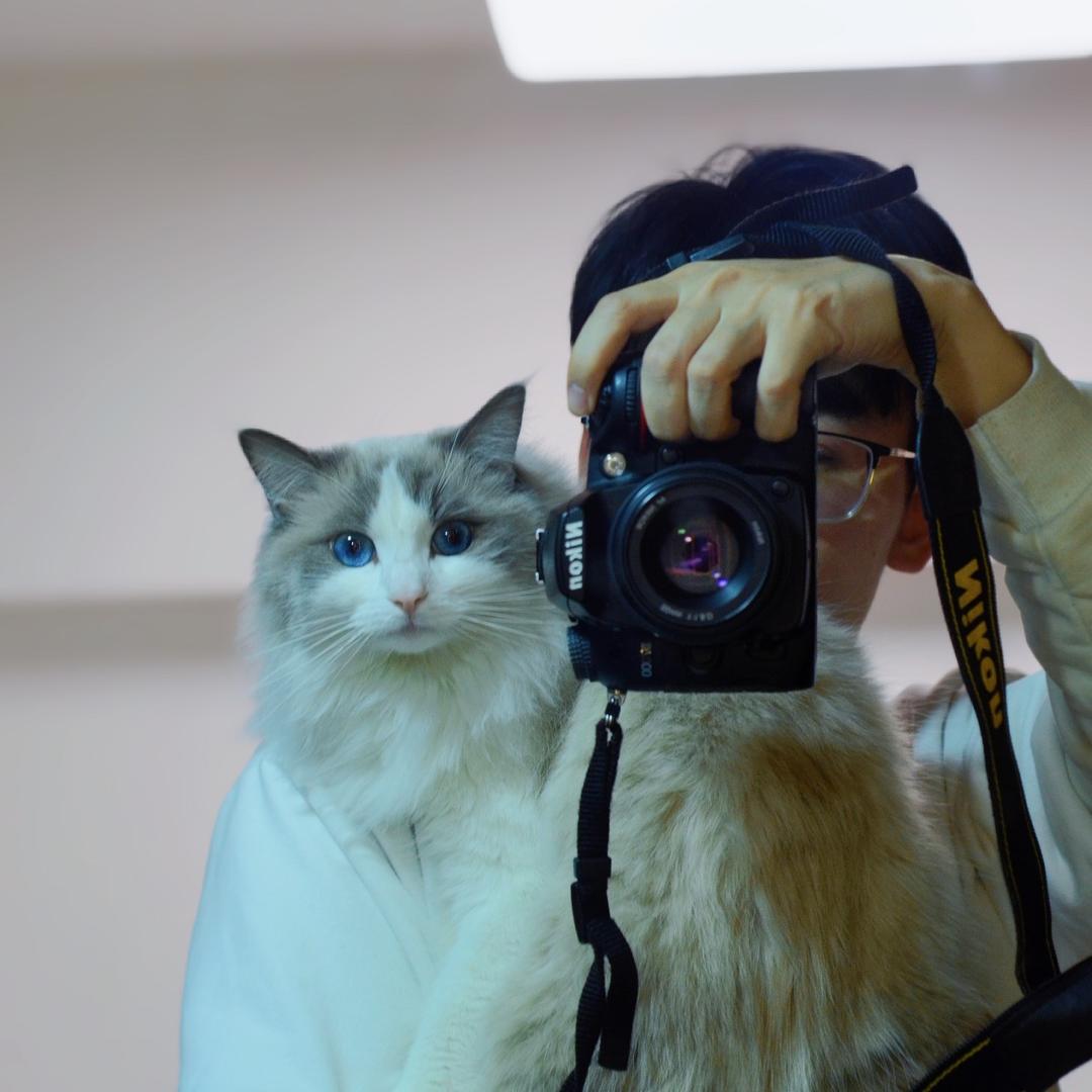 猫咪名字叫糯米