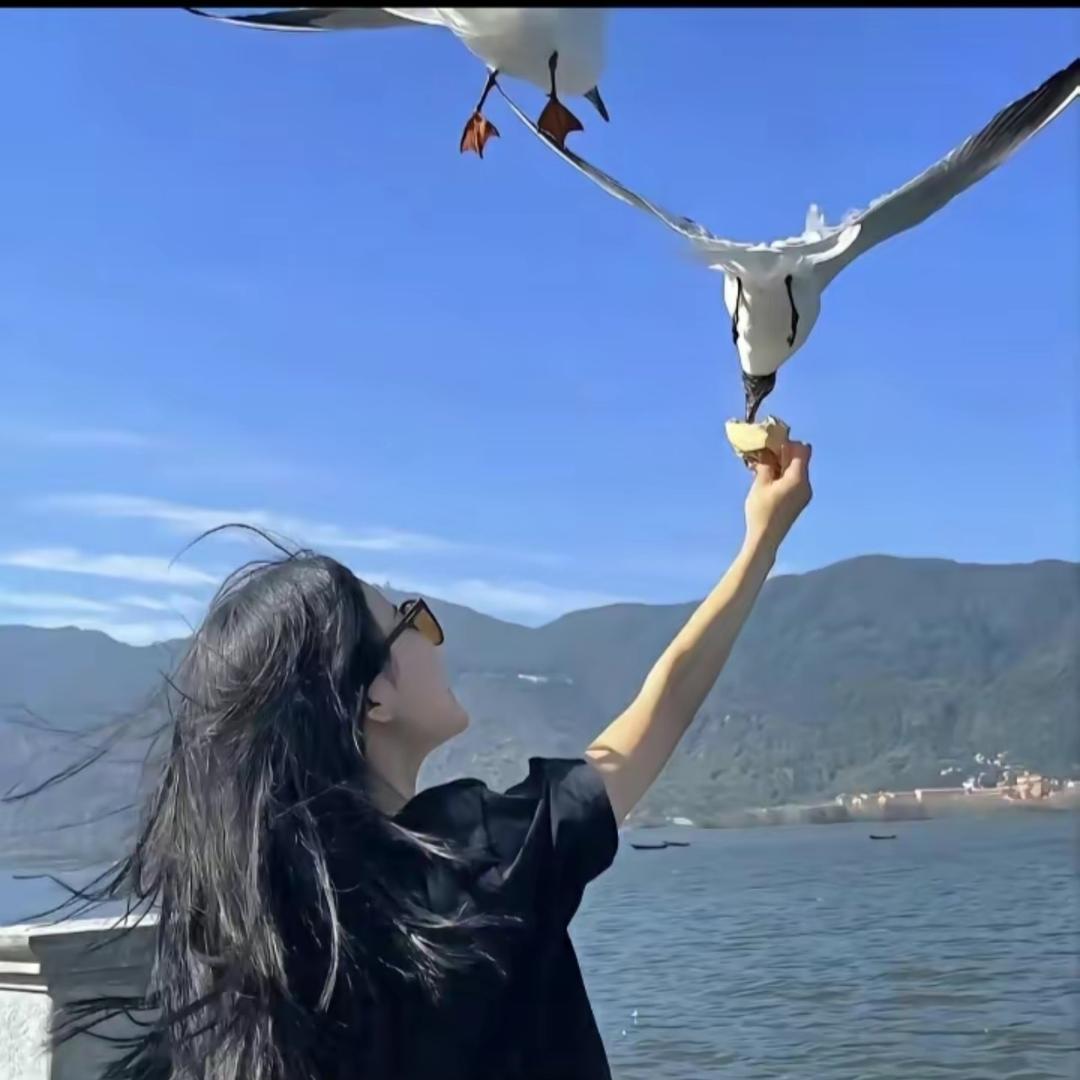 碳氮氧氟氖
